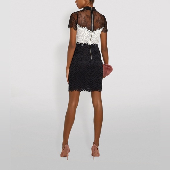 Sandro Paris Rosen Two Tone Sheer Mini Dress Sz 2 - Picture 8 of 16